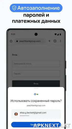 Google Chrome скриншот 6